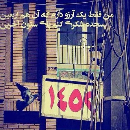 1478026032toptoop.ir_20_20_20_1_.jpg